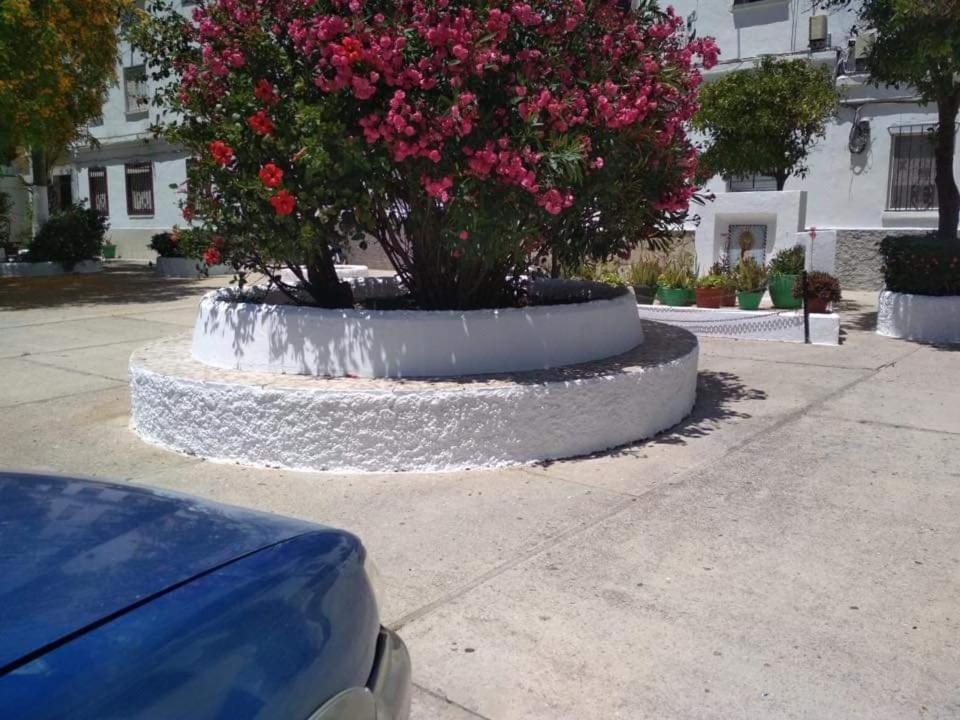 Vegandi Apartment Barbate Ngoại thất bức ảnh
